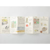 TN Traveler's Notebook Refill 032 (Accordian Fold Paper) - Regular Size